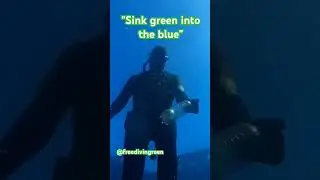 Pesca in Apnea ecocompatibile: un piccolo gesto che salva noi e il nostro mare...