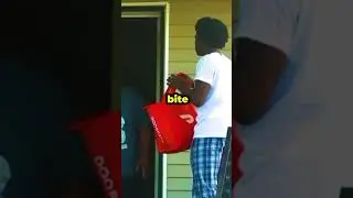 CRAZY DoorDash Delivery Prank GONE WRONG *ATTACKED* #kaneljoseph #prank