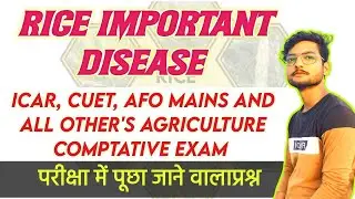 Rice Important Disease Causal Orgnism | Rice Disease Causal Orgnism Very Most Important Topic