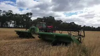 2020/2021 seed harvest-Part 1 (swathing)