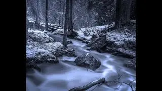 Freezing Wind in the Forest   Wind & Blowing Snow With Background Music ( Exposure Worldwide)