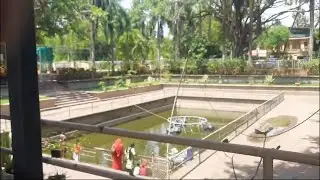 Shitladevi temple Palghar near kelva beach one day tour of Maharashtra tourism near Mumbai