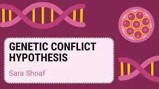 Genetic Conflict Hypothesis