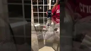 World Record for Longest Dreidel Spin