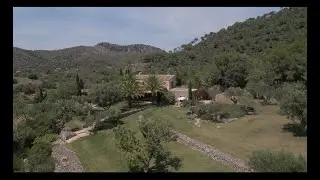 Finca Oasis del Drag&oacute;n, Art&agrave;, Mallorca