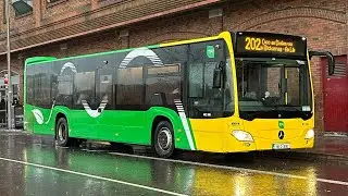 Bus Eireann MC306 Mercedes-Benz Citaro O295 Route 202 Blackrock to City Centre