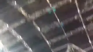 Showtek @coachella
