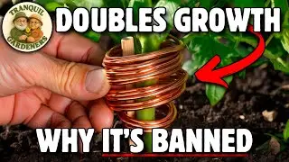 This Copper Antenna Grows Plants 3x Faster &mdash; Here's Why Big Agriculture Hates It!