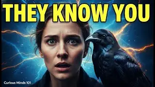 Crows &ndash; The Genius You Never Knew