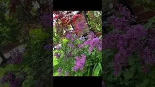 Bring back the bloom!