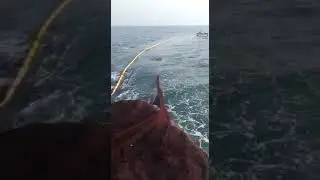 karwar fishing