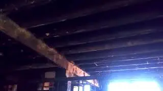 WhatsApp Video 2018 07 26 at 10 34 02