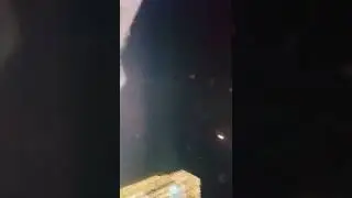 kota lendmark city diwali 🥰