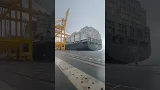 #cargoshipping#mscship#Srilankaport
