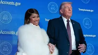 &lsquo;Bipartisan consensus&rsquo;: Nicki Minaj praised for backing voter ID laws