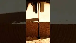 Satisfying Wood Cutting &ndash; Perfect Clean Cut in Seconds&rdquo; #wooddesigner #learnwoodworking #woodworker