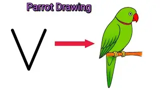 How to Draw a Colorful Parrot Using Letter V | Easy Drawing Trick for beginners