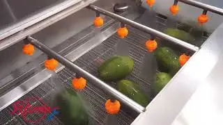 Fruit and Vegetable Juice Pre-Processing Line - FXFM MACHINE