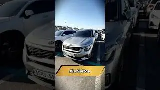 Kia Seltos Prestige 2021 (39 000 км) &mdash; 1 845 000₽ до Москвы: экономичный кроссовер 🚙