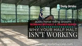 Why Your Half Halt Isn&rsquo;t Working