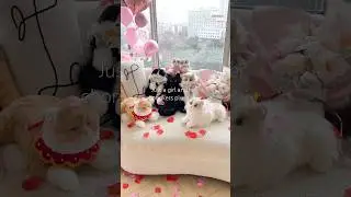 Идеальный способ предложить ей стать твоей Валентинкой #chongker #cat #robotanimal #robotcat