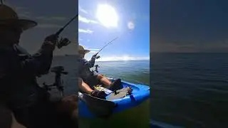 Лещ не шутит. 🎣 #рыбалканакаяке #рыбалкавАвстралии #жизньнакаяке