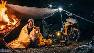Solo Camping with My Shiba vs EXTREME Mountain Windstorm (No Talking ASMR)