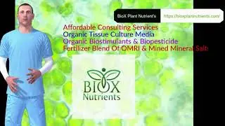 BioX briefing of the plants epigenetics guide #1