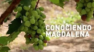 Conociendo Magdalena - Cajamarca