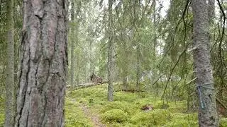 G&auml;lln&ouml; Byholmen Sept 2019
