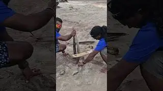 ISLAND CRICKET 🏏