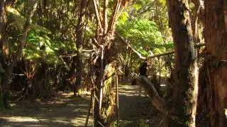 test canon vixia hf m300