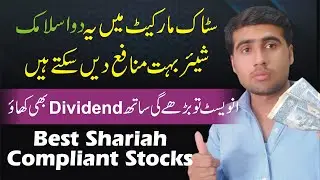 Best Shariah Compliant Stocks | Best islamic shares in PSX | Stock Market Investment