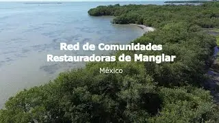 Red de Comunidades Restauradoras de Manglar