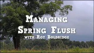 Managing Spring Flush - Roy Boldridge (SPES-435NP)