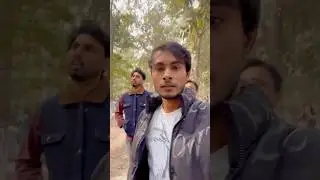 Ludhiana tiger safari zoo | mini vlog video #explore #feedshorts #featuredpost #nonfollowers