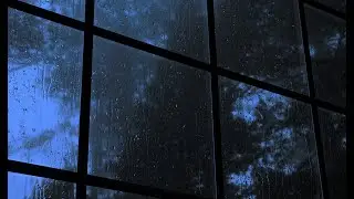 The Window | Storm Ambiance 4k