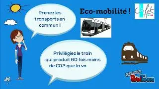comportement Eco-responsable