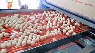 APEX Ball Wafer Production Line