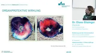 Warum werden volatile Anästhetika immer noch nicht flächendeckend eingesetzt?