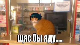 Монологи фармацевта в принципе норм....