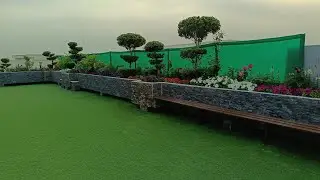 My Roof top garden for Gardening lovers.