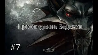 The Witcher: Первое прохождение. #7
