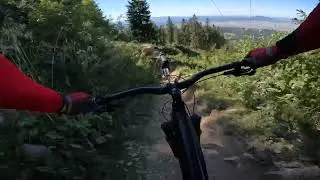 Bike Park Postavarul, Poiana Brasov, 2025 Aug, Red Line, Front puncture after drop