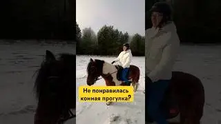 Про конные прогулки на моем ранчо #horse #конноеранчо #лошади #shorts