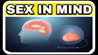 🚨 Sex In Mind 🧠 | Deepthinktoday🫵 |  #deepthinktoday #philosophy #sexinmind #rgv