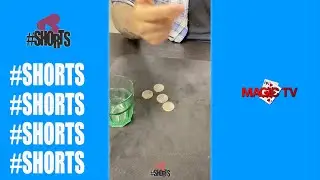 4 Half Dollar Coin Magic | Craig Petty Magic #shorts