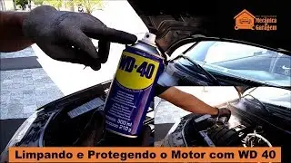 Limpando e Protegendo o Motor com WD 40