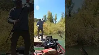 #jigfishing #flipping #bassfishing #cadelta #fishing #bass #angler #hookset #largemouthbass #lake
