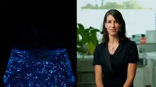 Woodlight, les plantes bioluminescentes